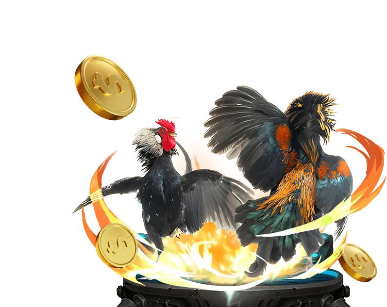 Các loại gà chọi và giao diện cá cược đa dạng