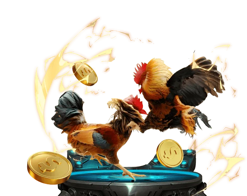 Mẹo Đặt Cược Đá Gà Hiệu Quả